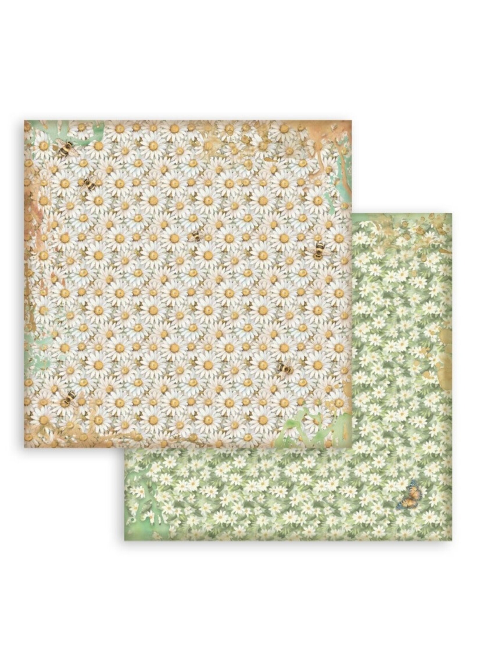 Stamperia Stamperia 8X8 Backgrounds Paper Pad, Daisy Art