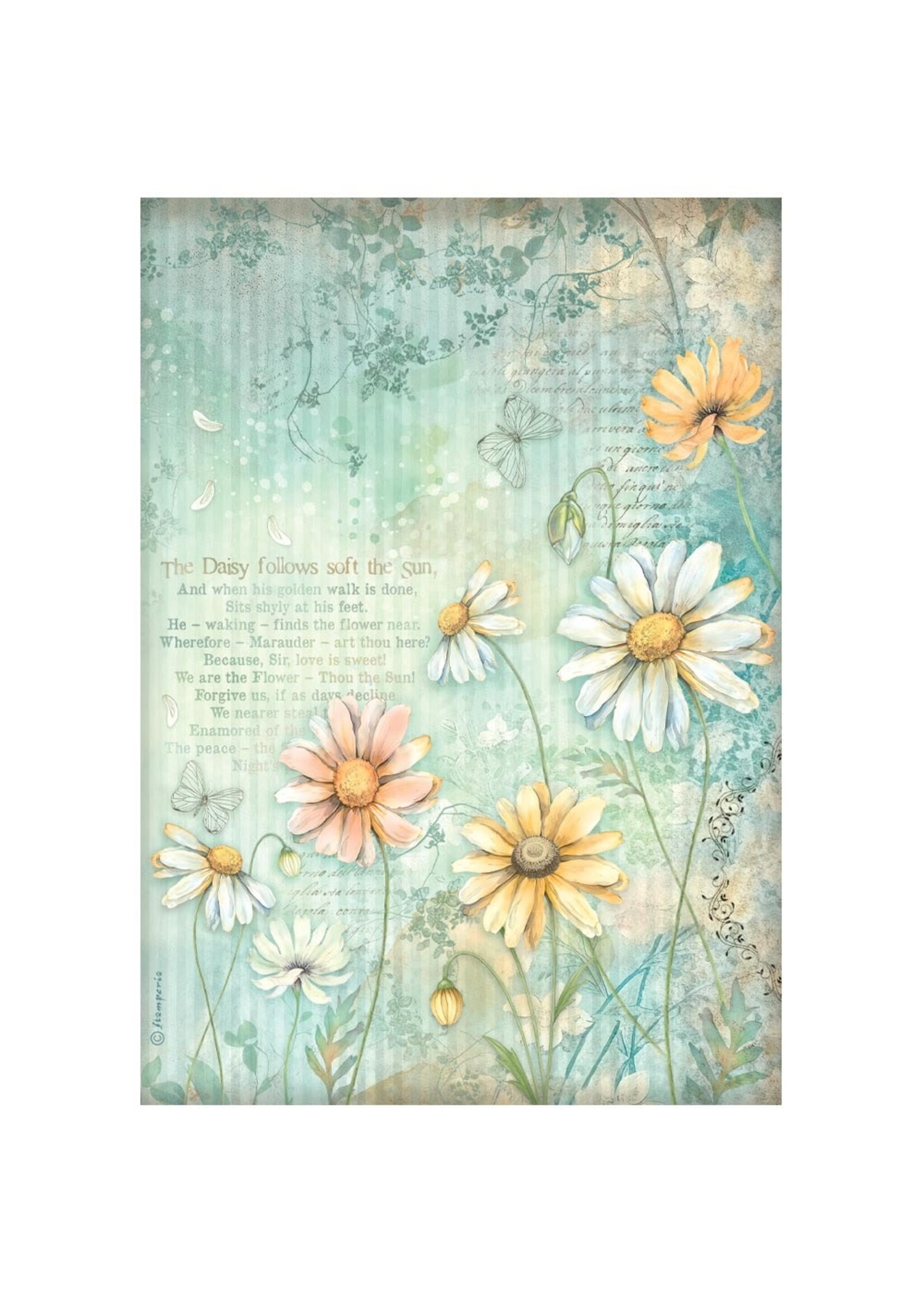 Stamperia Stamperia A4 Rice Paper,  DFSA41093 Daisy Art - Daisies