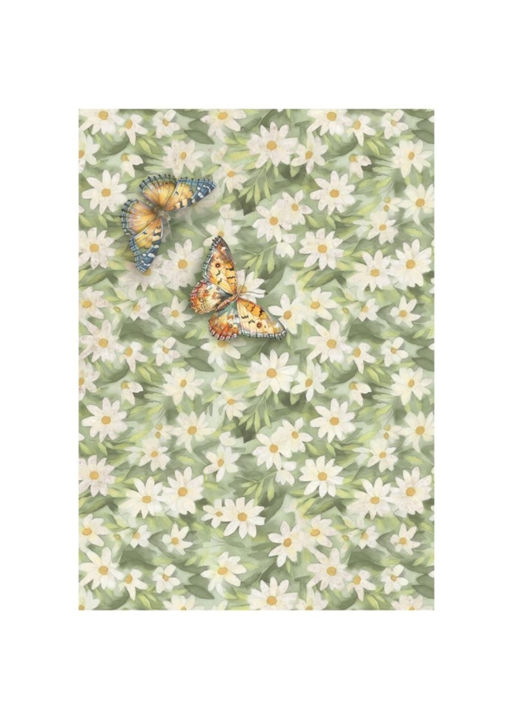 Stamperia Stamperia  A6 Mini Rice Paper, Daisy Art (8 Sheets)