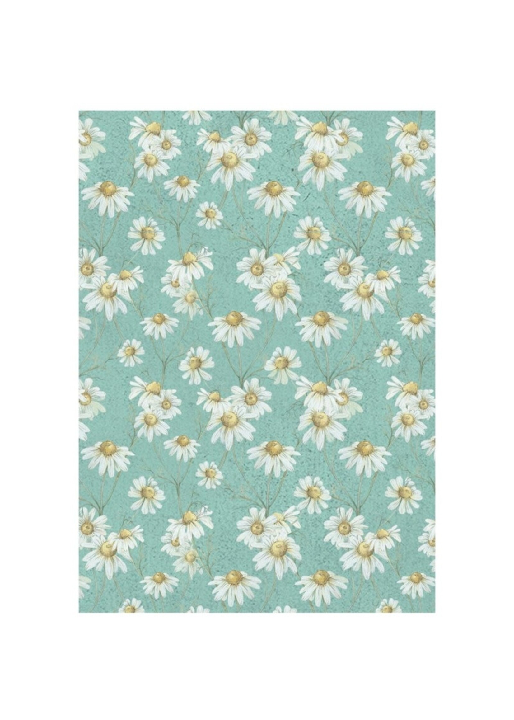 Stamperia Stamperia A6 Rice Paper Backgrounds, Daisy Art (8 sheets)