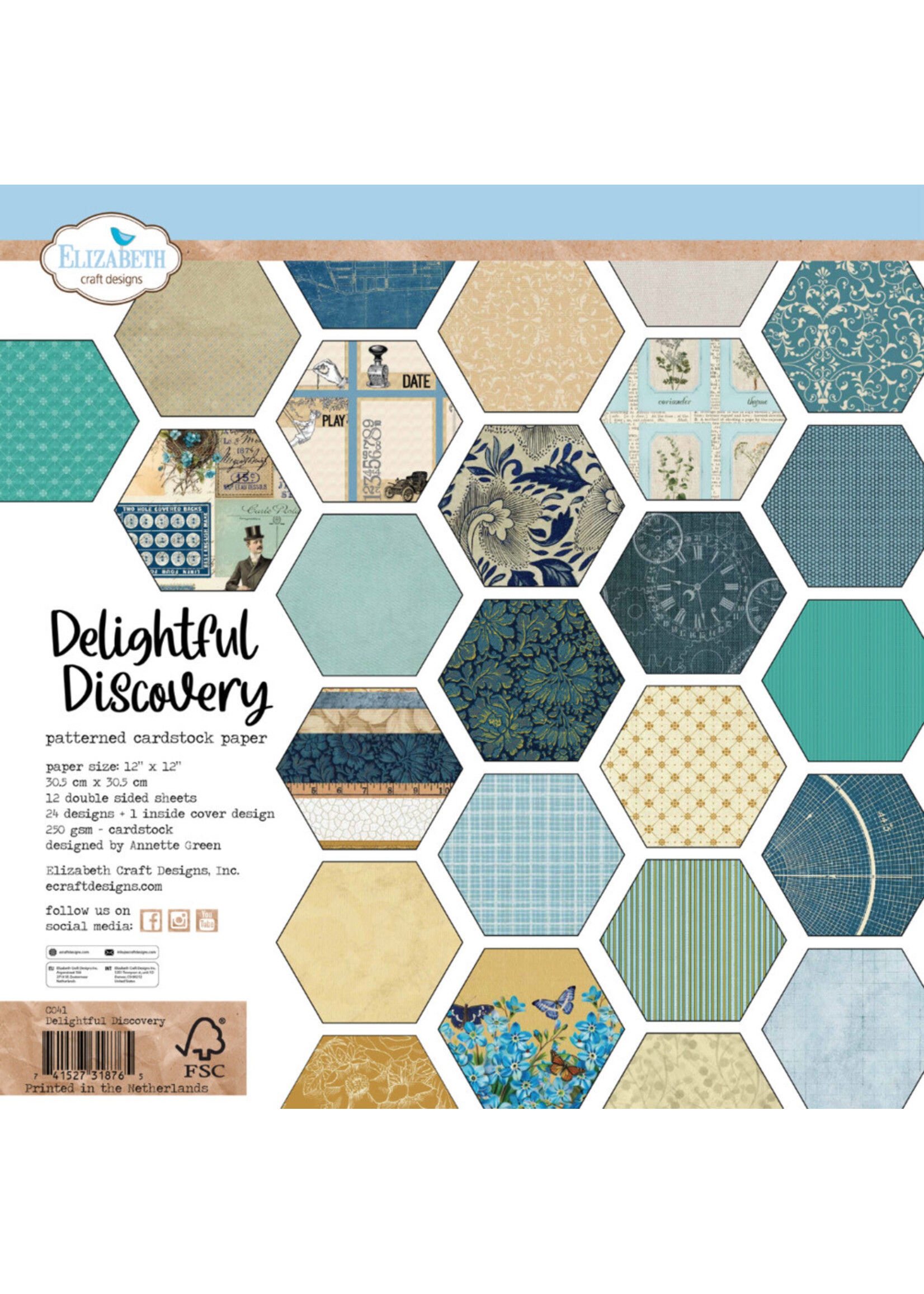 Elizabeth Craft Design Elizabeth Craft Designs 12x12 Collection Pack, Delightful Discovery