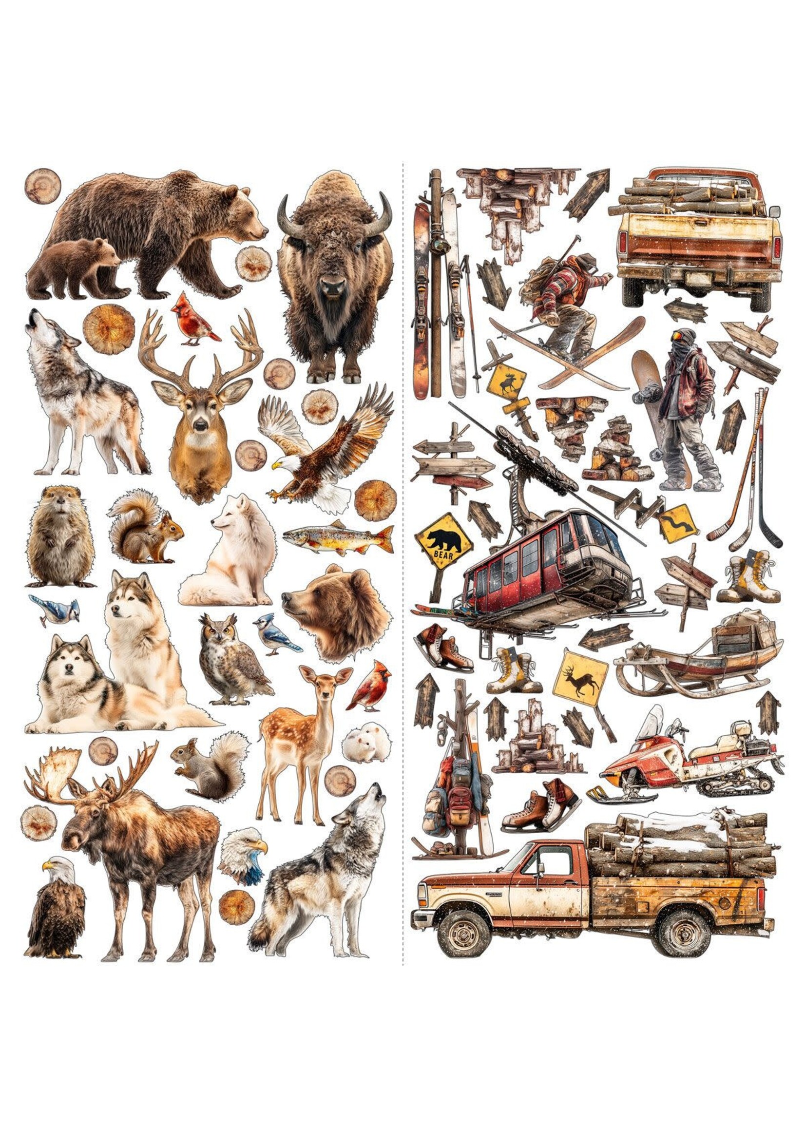 49 & Market 49 and Market Laser Cut Outs, Timber and Tweed