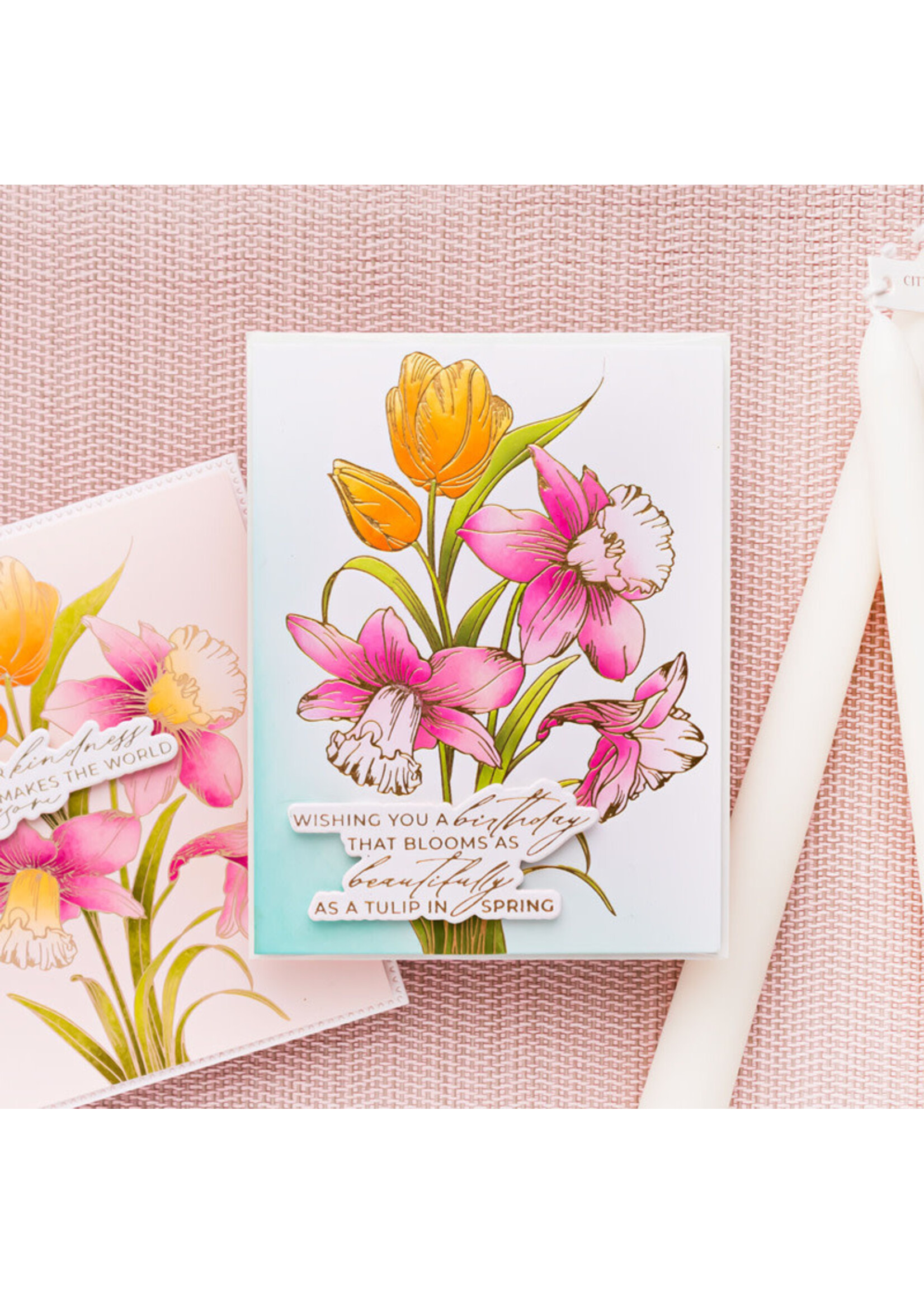 Spellbinders Spellbinders Press & Foil Plate/Stencil Bundle, Tulips and Daffodils