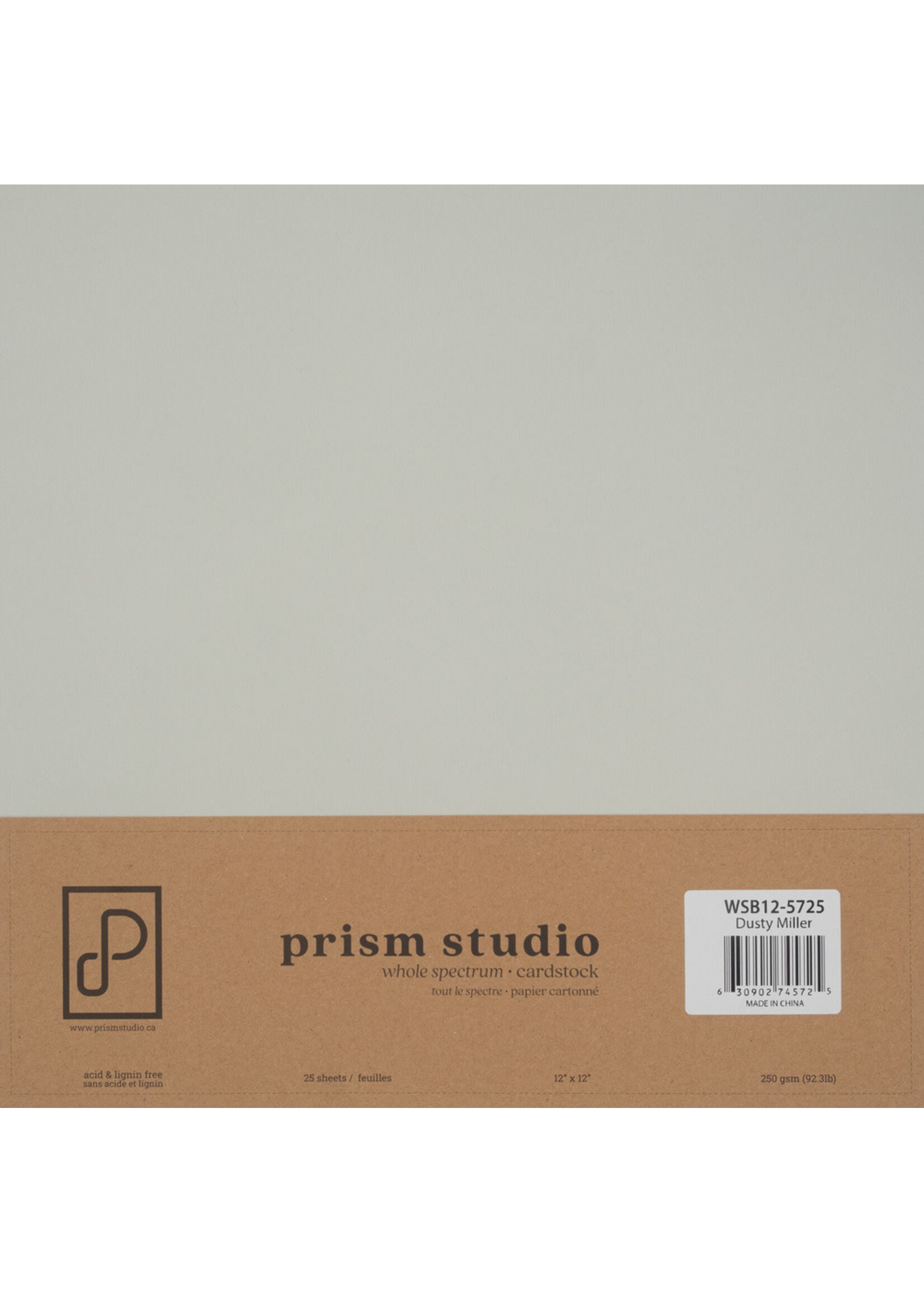 Prism Studio Prism Studio 12X12 Smooth Cardstock, 92lb - Dusty Miller