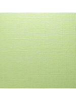 Prism Studio Prism Studio 12X12 Textured 80 lb. Cardstock, Aloe Vera