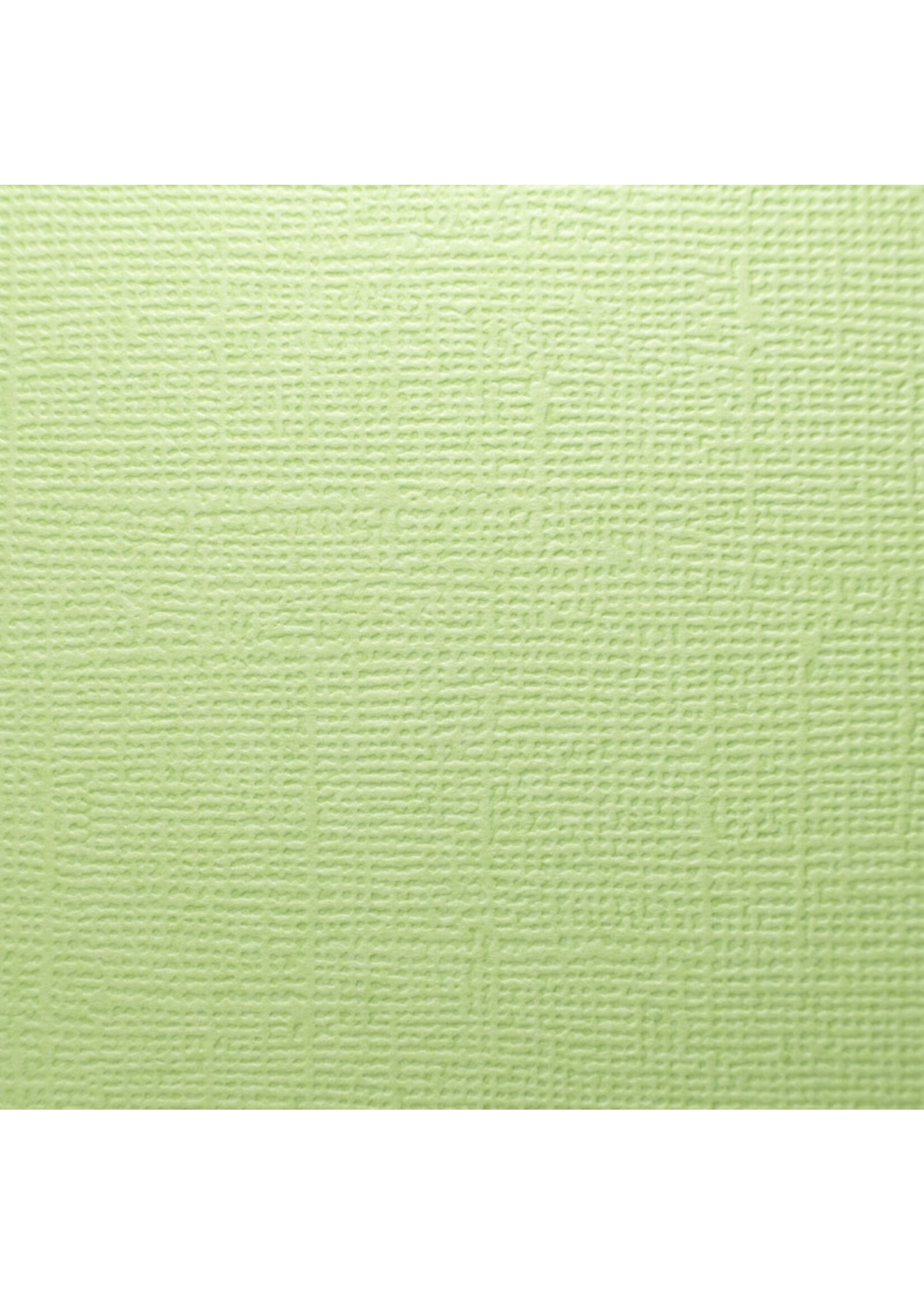 Prism Studio Prism Studio 12X12 Textured 80 lb. Cardstock, Aloe Vera