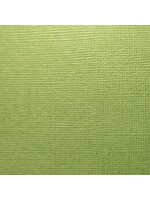 Prism Studio Prism Studio 12X12 Textured 80 lb. Cardstock, Forest Moss