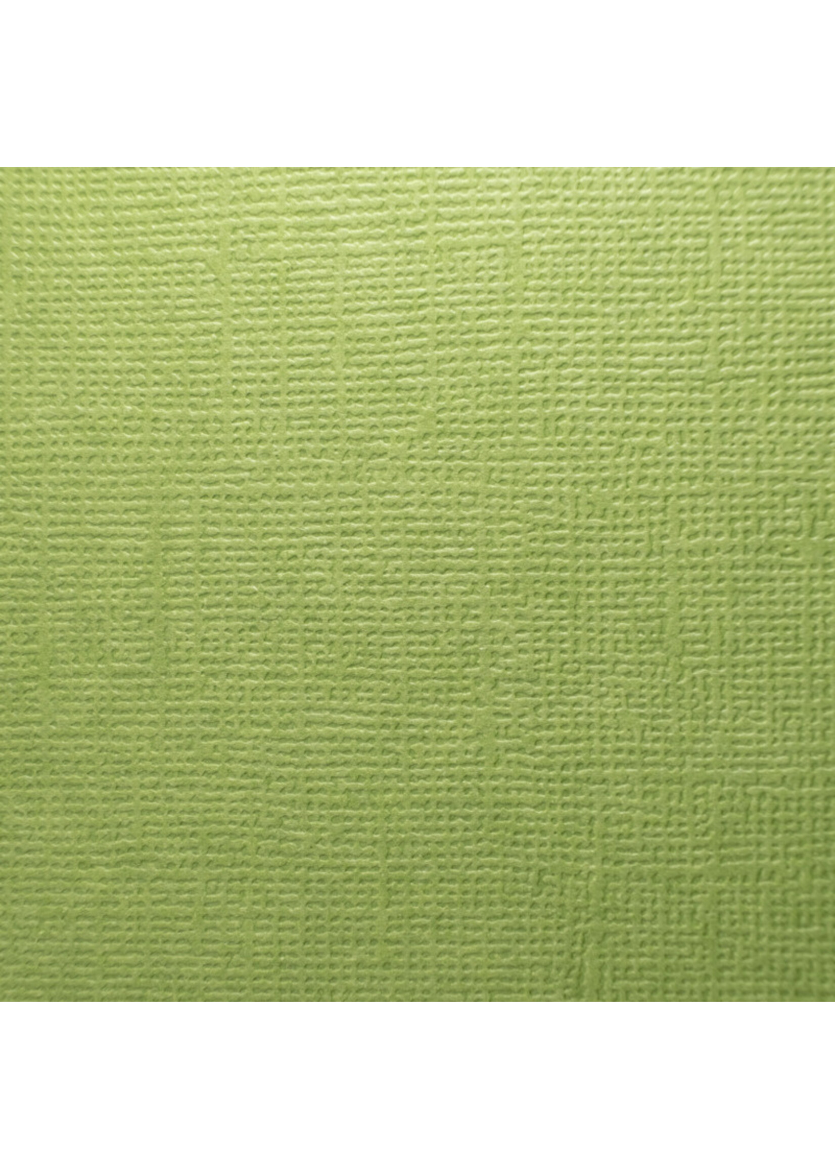 Prism Studio Prism Studio 12X12 Textured 80 lb. Cardstock, Forest Moss