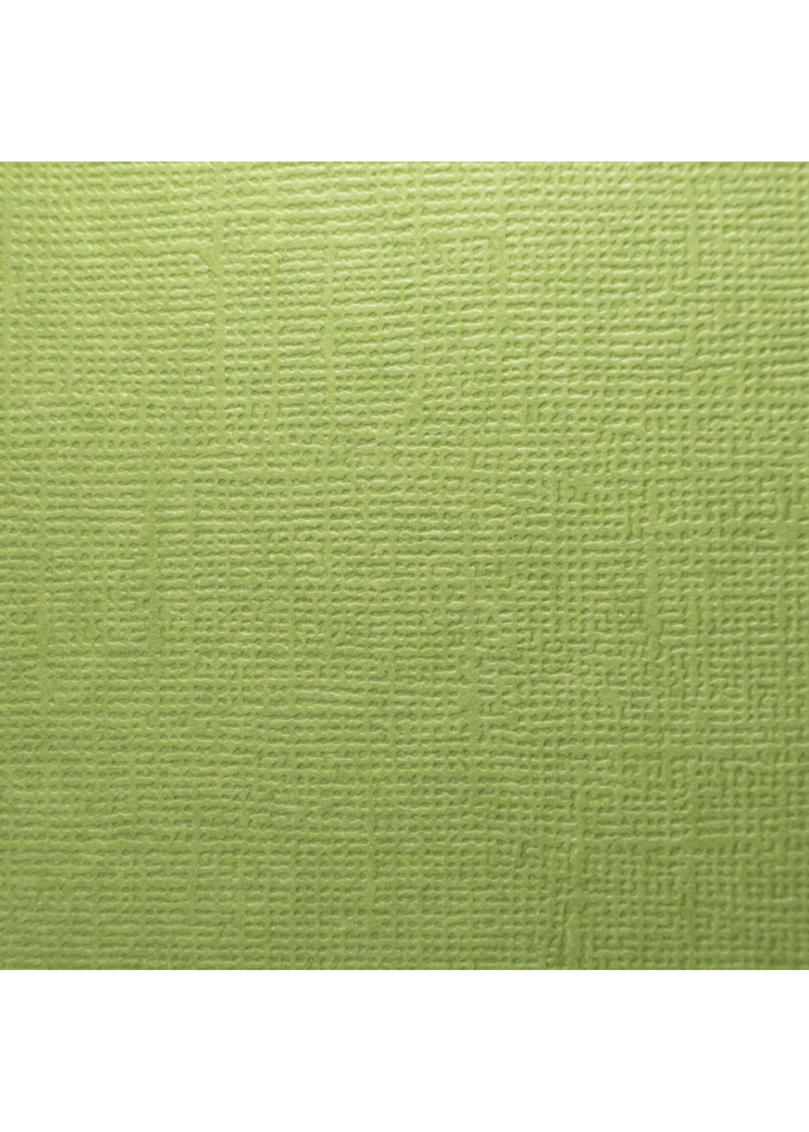 Prism Studio Prism Studio 12X12 Textured 80 lb. Cardstock, Forest Moss