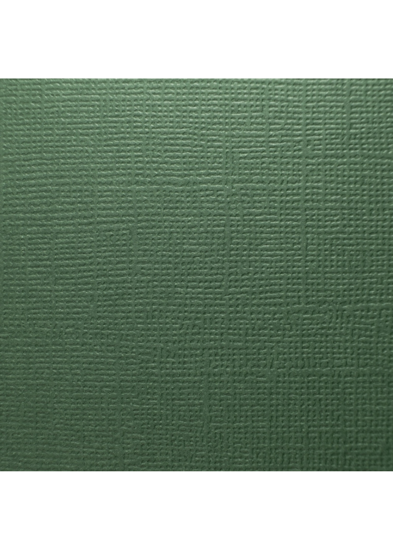Prism Studio Prism Studio 12X12 Textured 80 lb. Cardstock, Evergreen