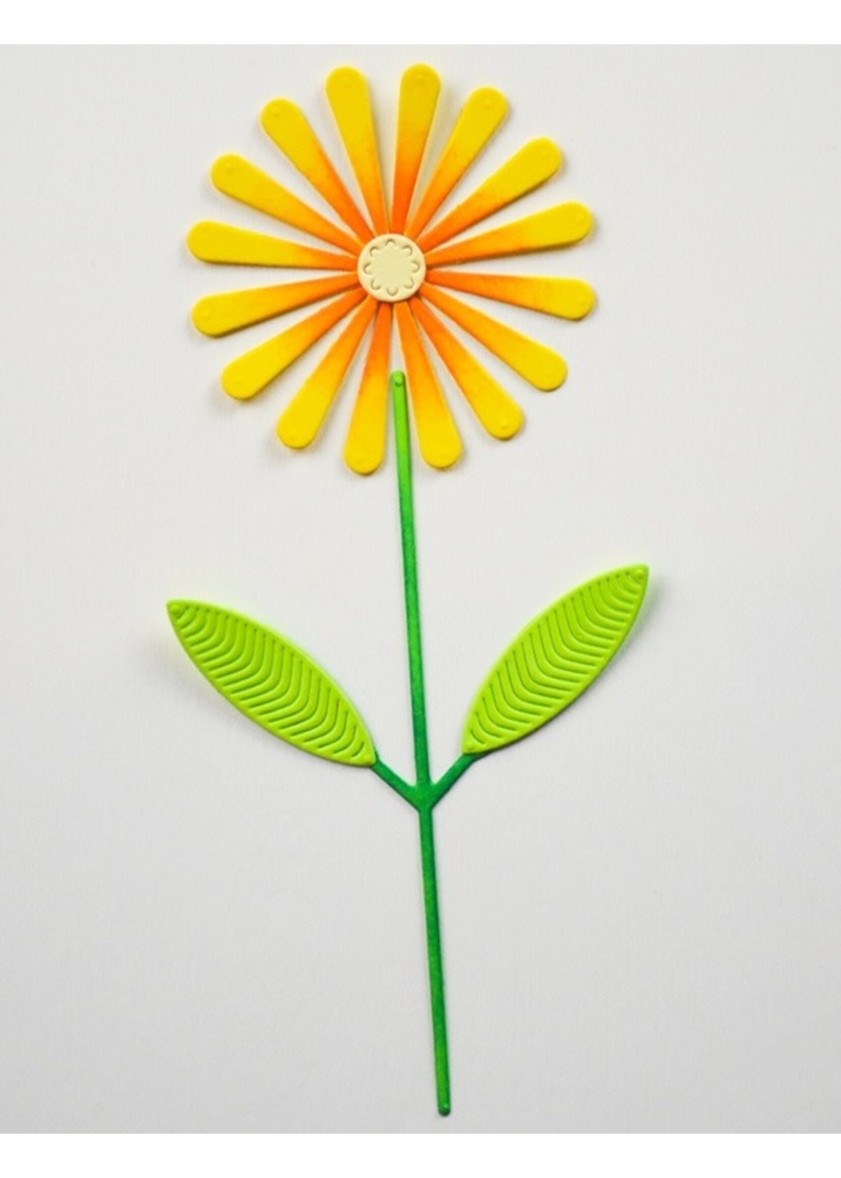 Birch Press Design Die, Daisy Flower