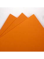 Prism Studio Prism Studio 12X12 Smooth Cardstock 92lb, Bird of Paradise