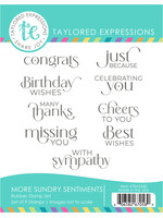 Taylored Expressions Taylored Expressions Stamp/Die, More Sundry Sentiments