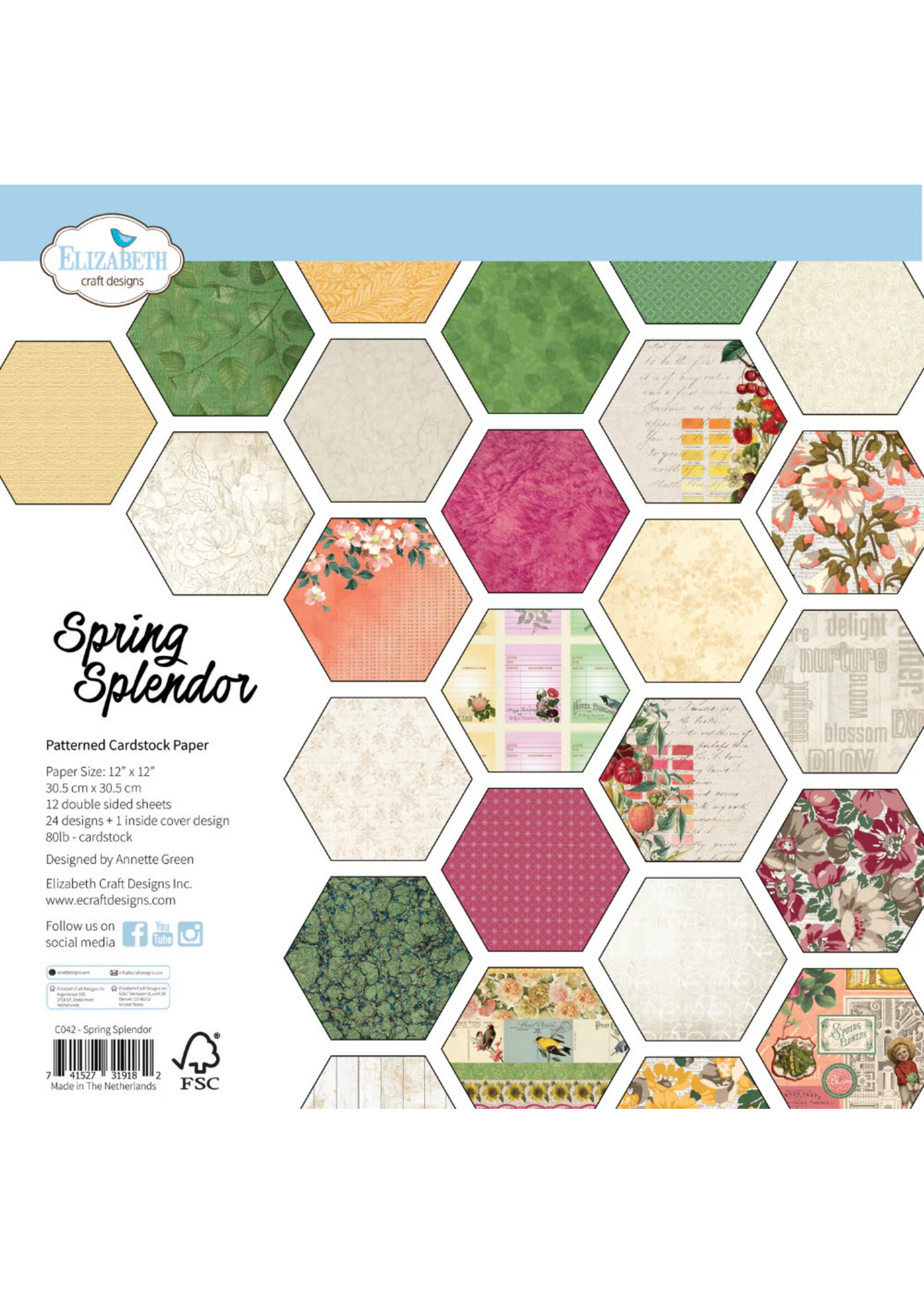 Elizabeth Craft Design ECD 12x12 Paper Pack, Spring Splendor