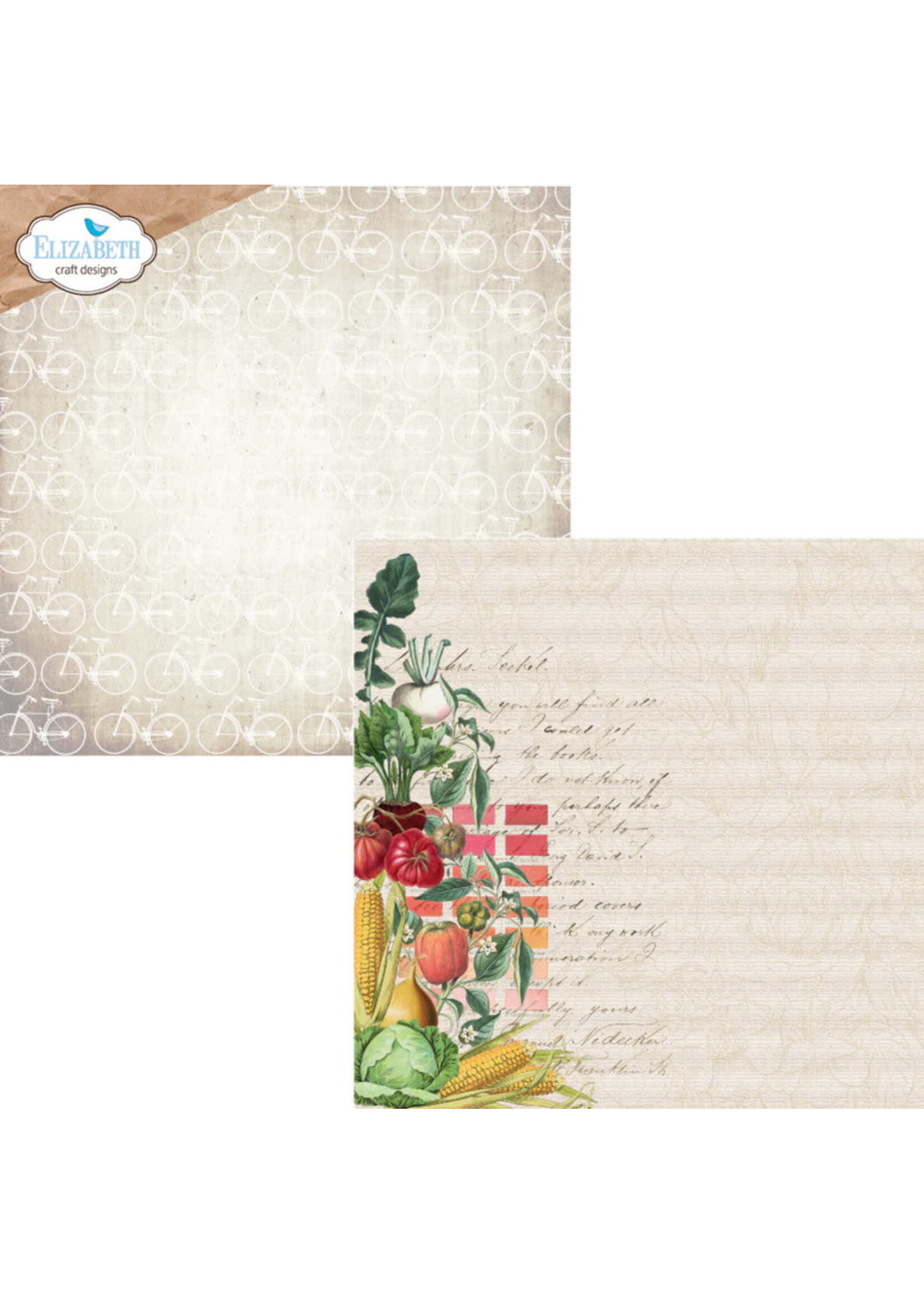 Elizabeth Craft Design ECD 12x12 Paper Pack, Spring Splendor