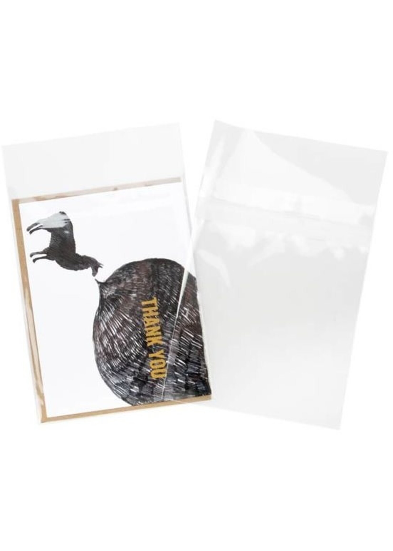 Clear Bags Clear Bags Crystal Clear Protective Closure Bags, 4 5/8" x 5 3/4"