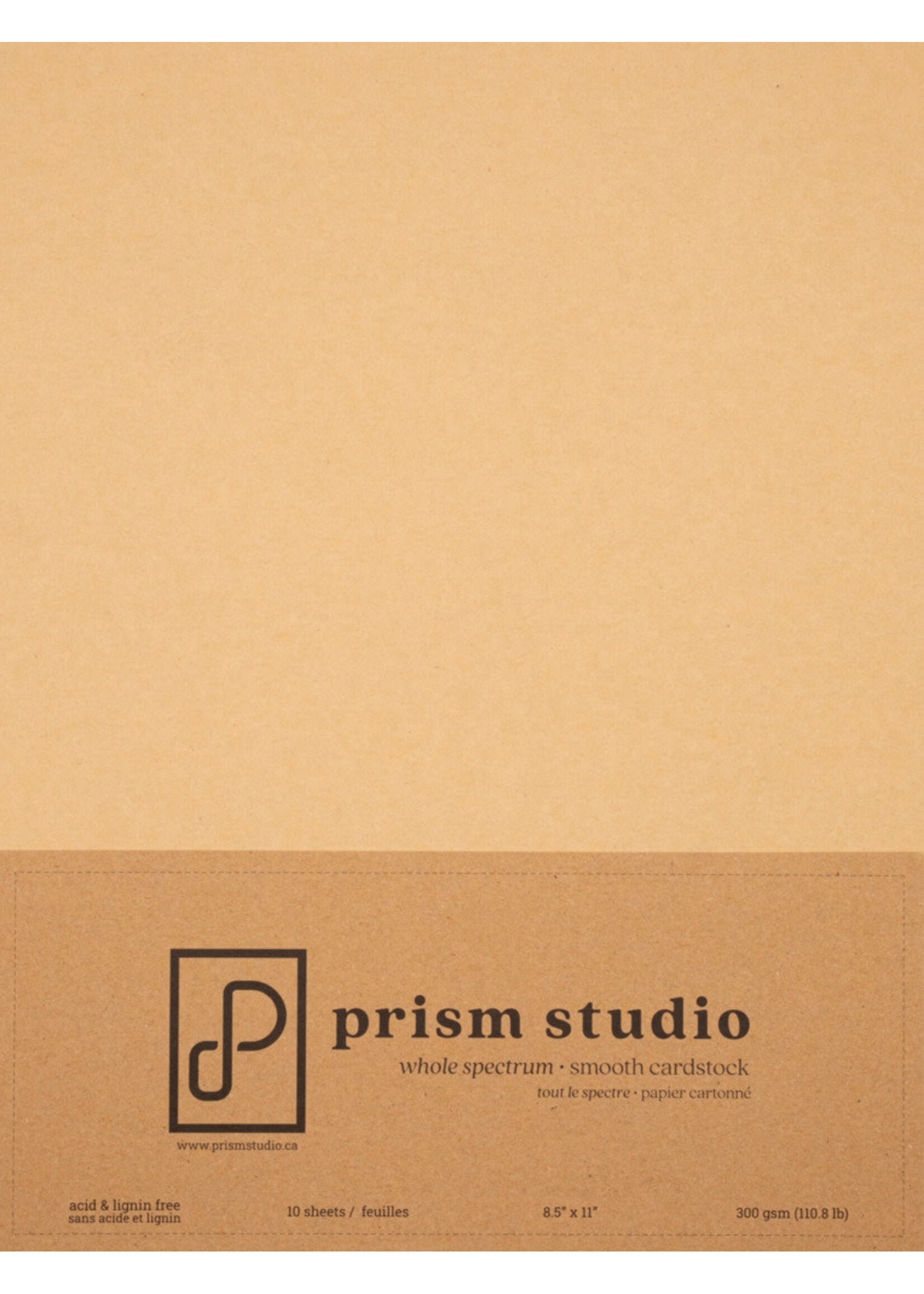 Prism Studio Prism Studio 8.5 x 11 Smooth Cardstock 110 lb., Kraft (10)