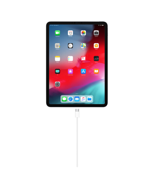 Apple Apple USB-C - Зарядный кабель для iPad