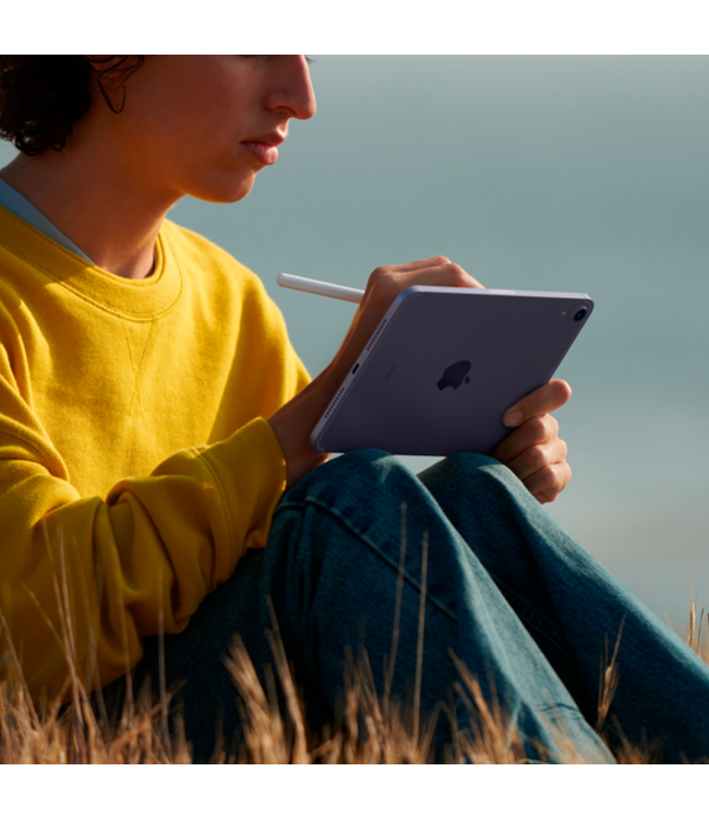 Apple iPad Air (5-го поколения), 256 ГБ