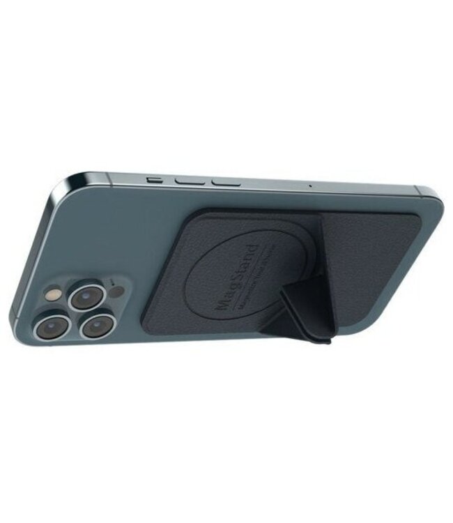 SwitchEasy SwitchEasy Leather MagStand совместимый с iPhone 11/12/13