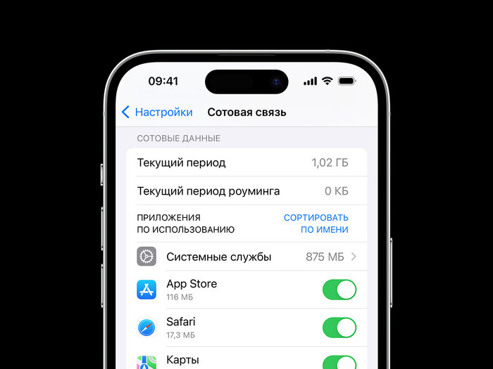 Как включить роуминг на iPhone?