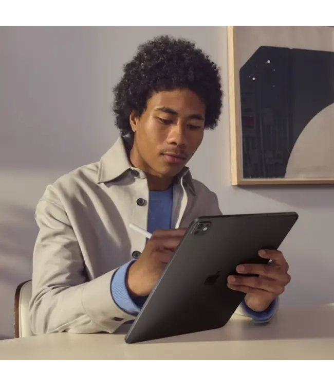 Apple iPad Pro 13 (M4), 2 TB, Wi-Fi, Серебристый (MVX93HX/A)