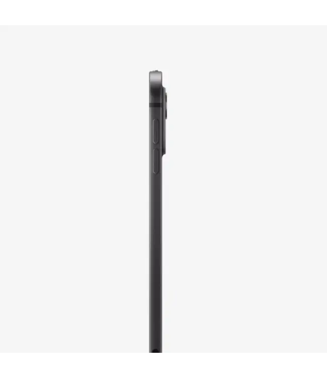 Apple iPad Pro 11 (M4), 2 TB, Wi-Fi+5G, NanoTexture Glass, Space Black (MWRR3QA/A)