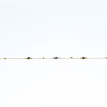 14k ank bracelets 14k yg 1.4g 10" diam #927003