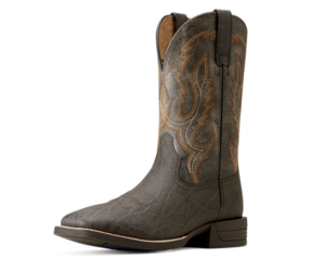 Ariat elephant hotsell skin boots