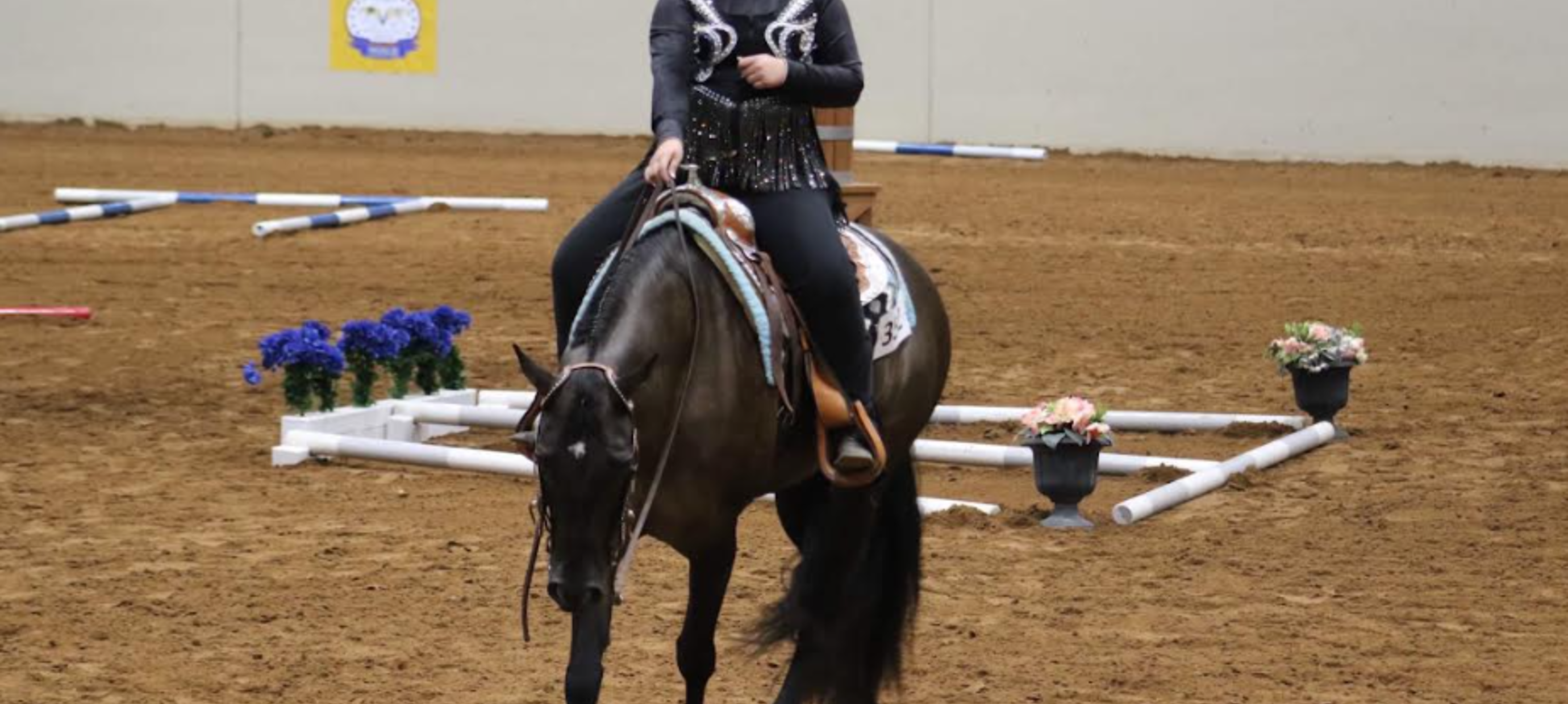 Western Trail Class Riding 101