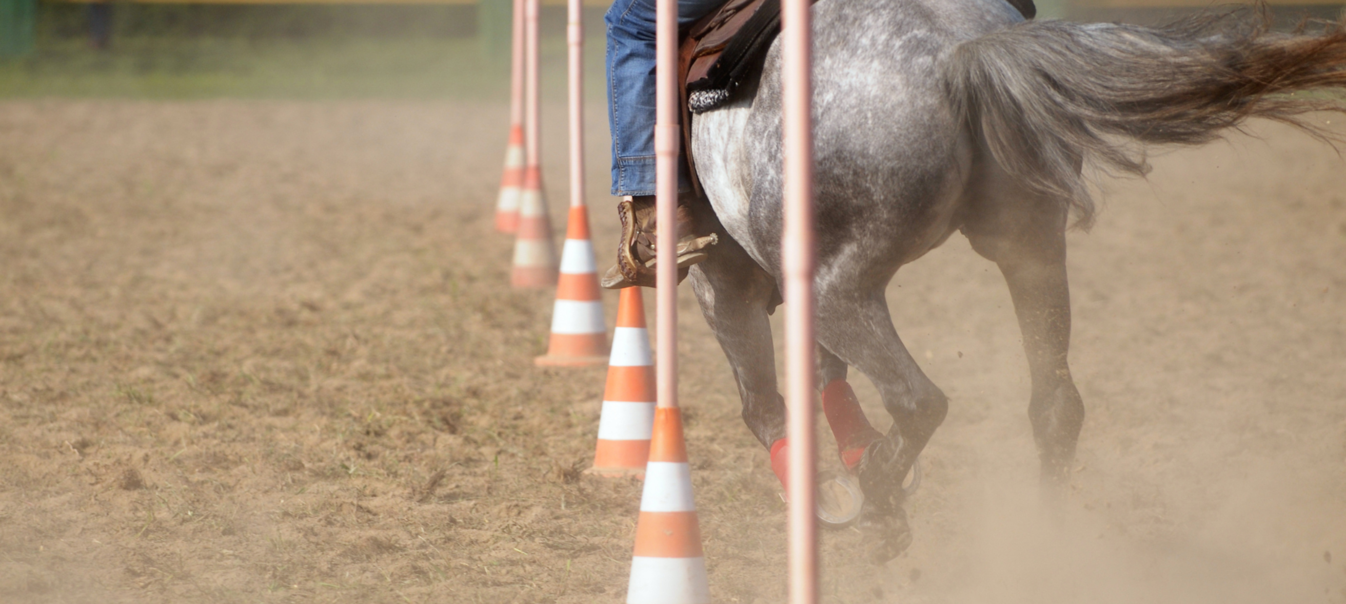 Pole Bending: Overview & Patterns for Beginners