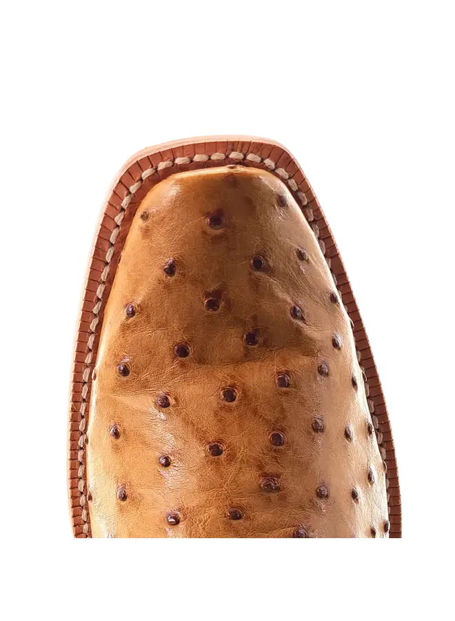 Men's Antique Saddle Bruciato Full Quill Ostrich