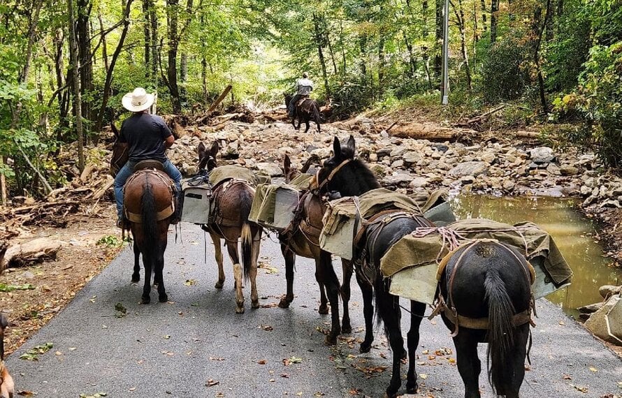 Hurricane Helene Relief: The Mountain Mule Packers