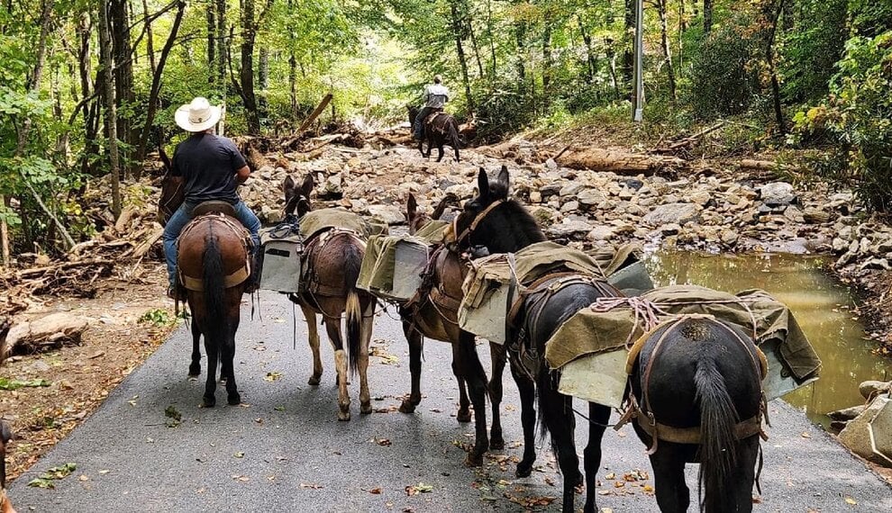 Hurricane Helene Relief: The Mountain Mule Packers