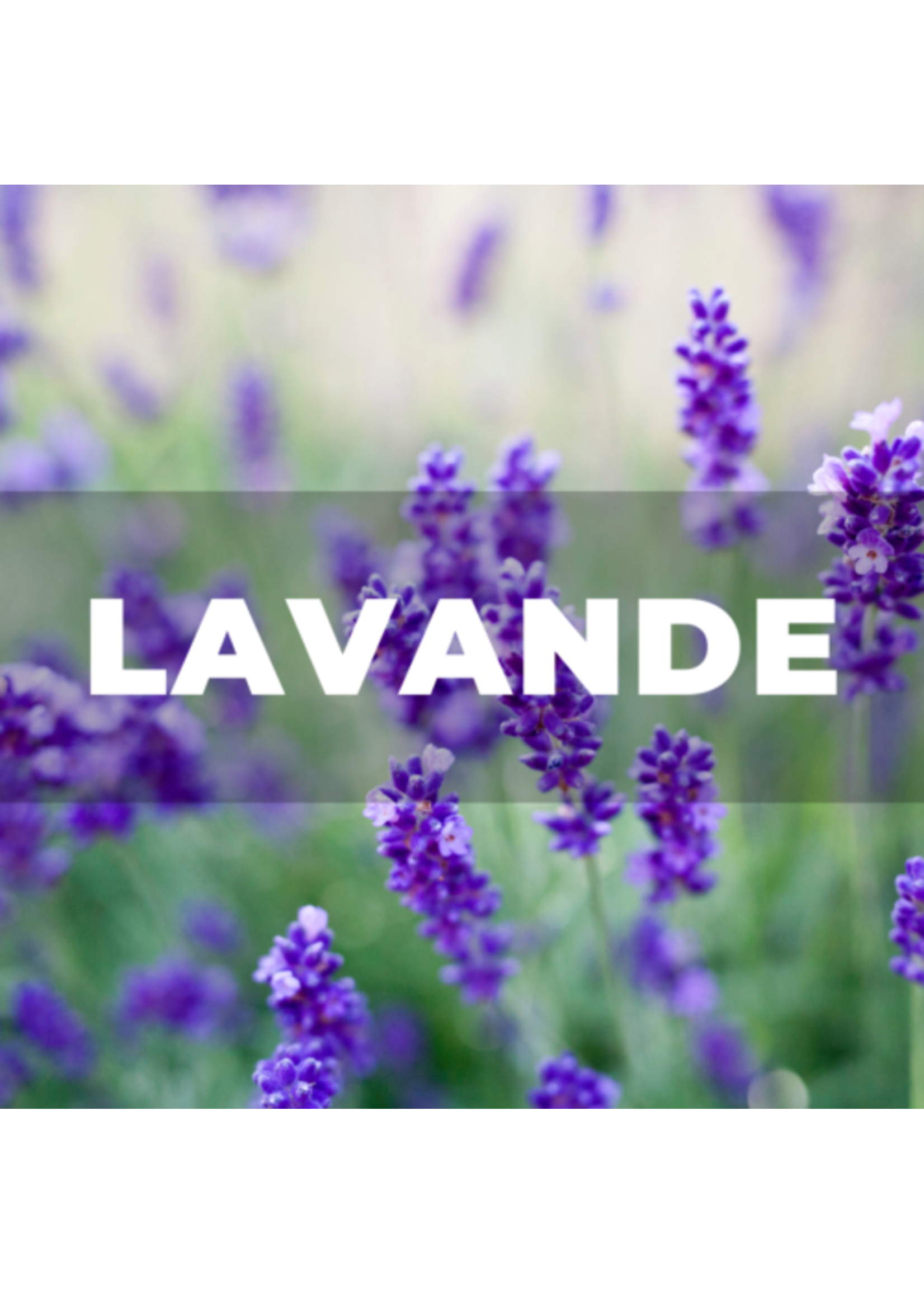 Kali déodorant Huile essentielle Lavande | Lavender | Lavandula Officinalis | France