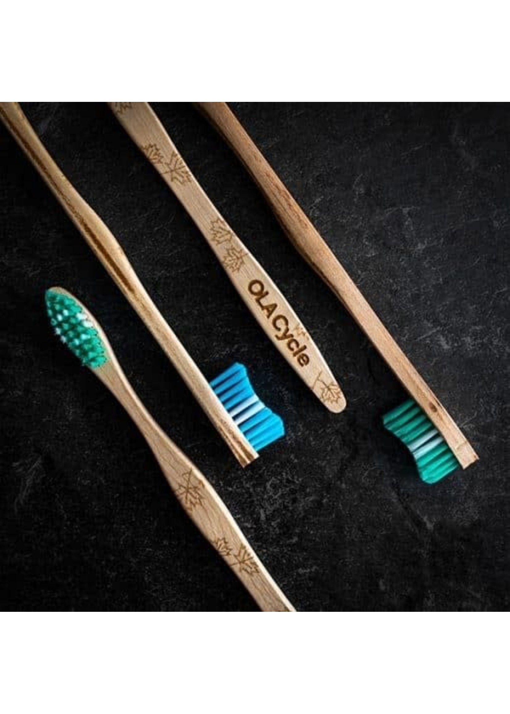 OLA Bamboo Brosse à dent adultes souples en érable!(couleurs variées)