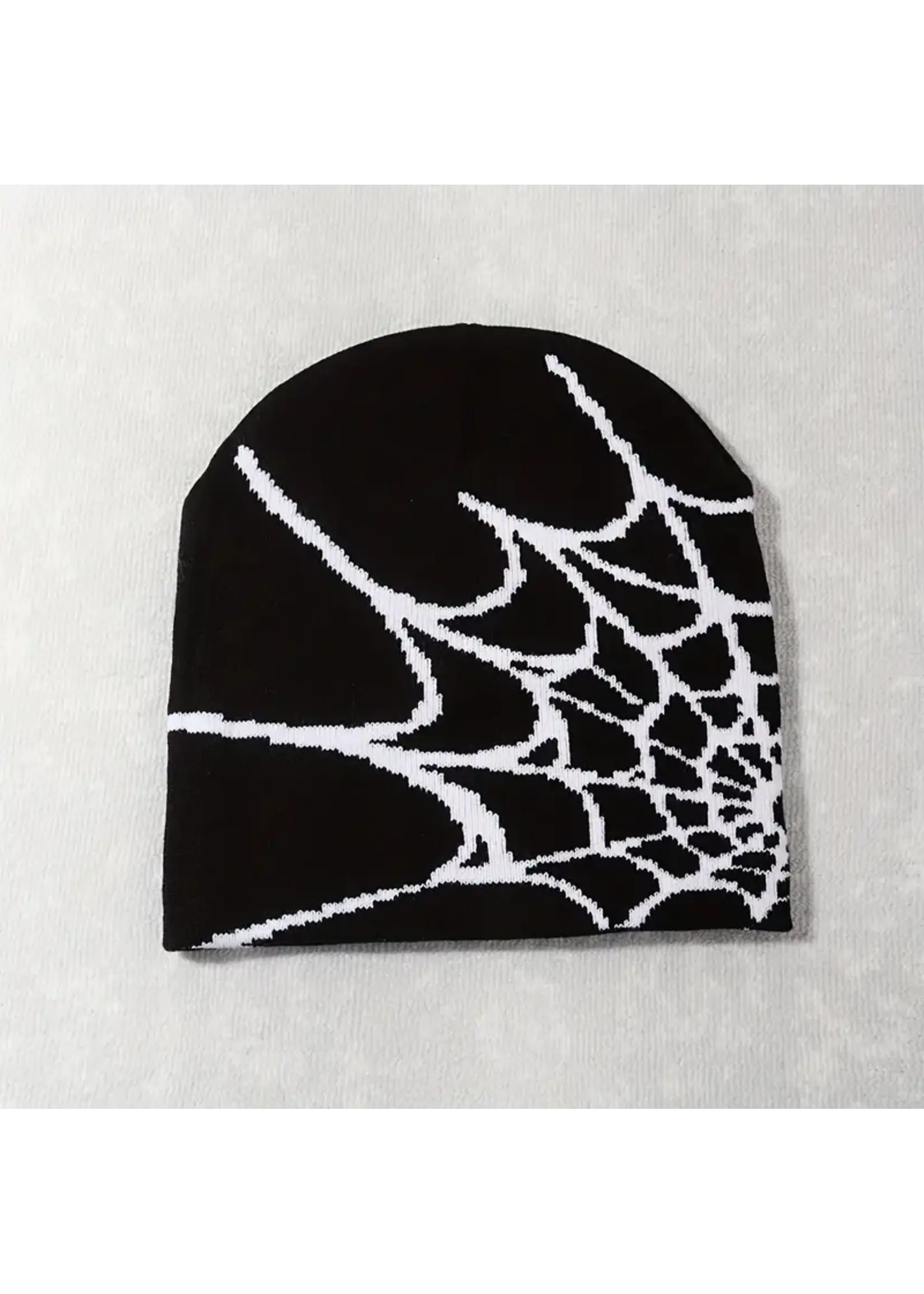 Spider Web Beanie