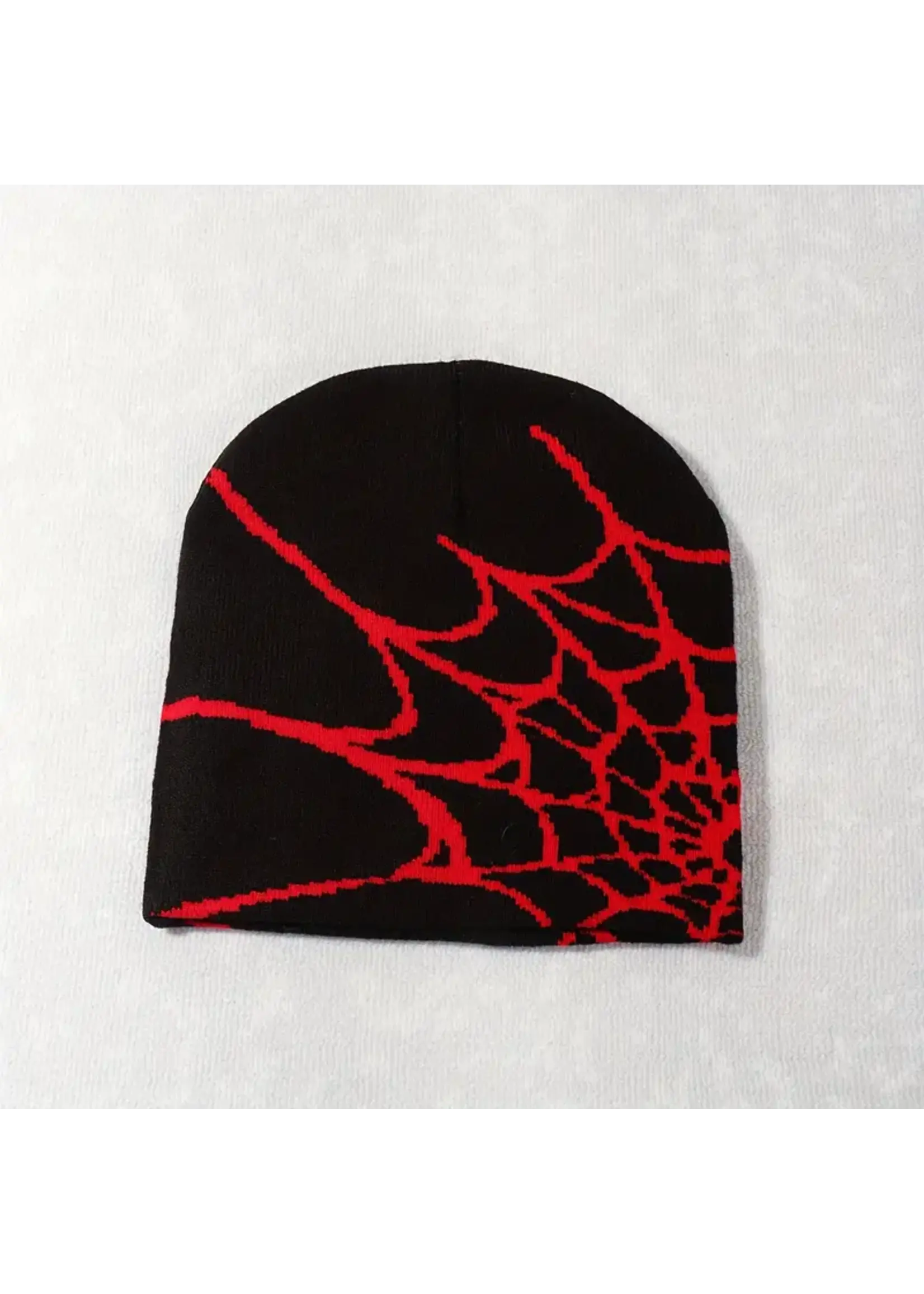 Spider Web Beanie