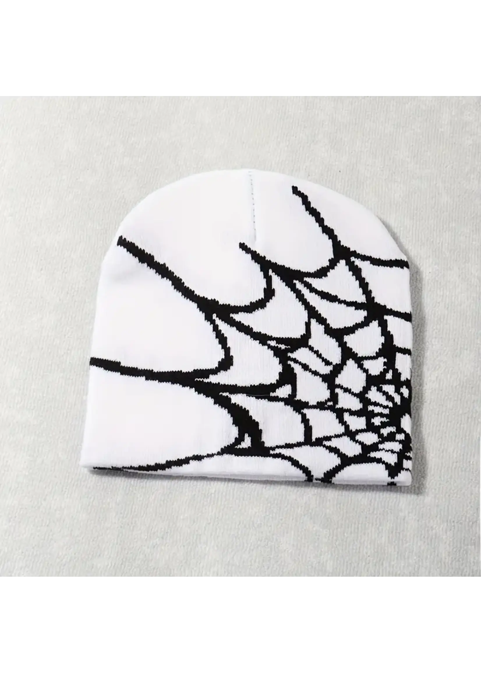 Spider Web Beanie