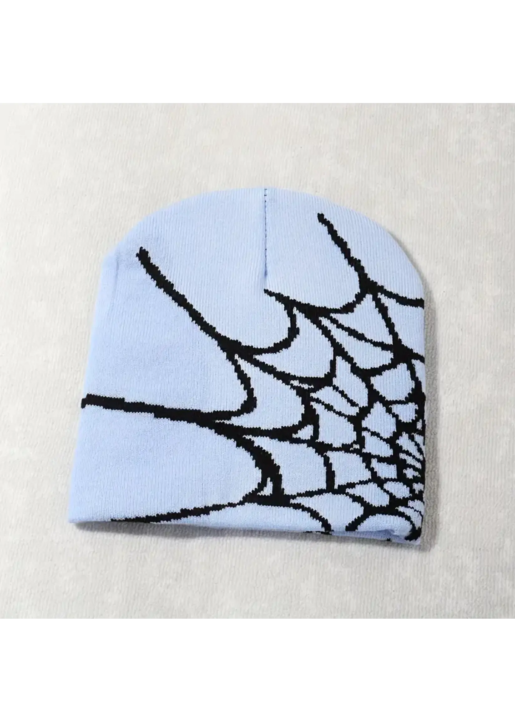 Spider Web Beanie