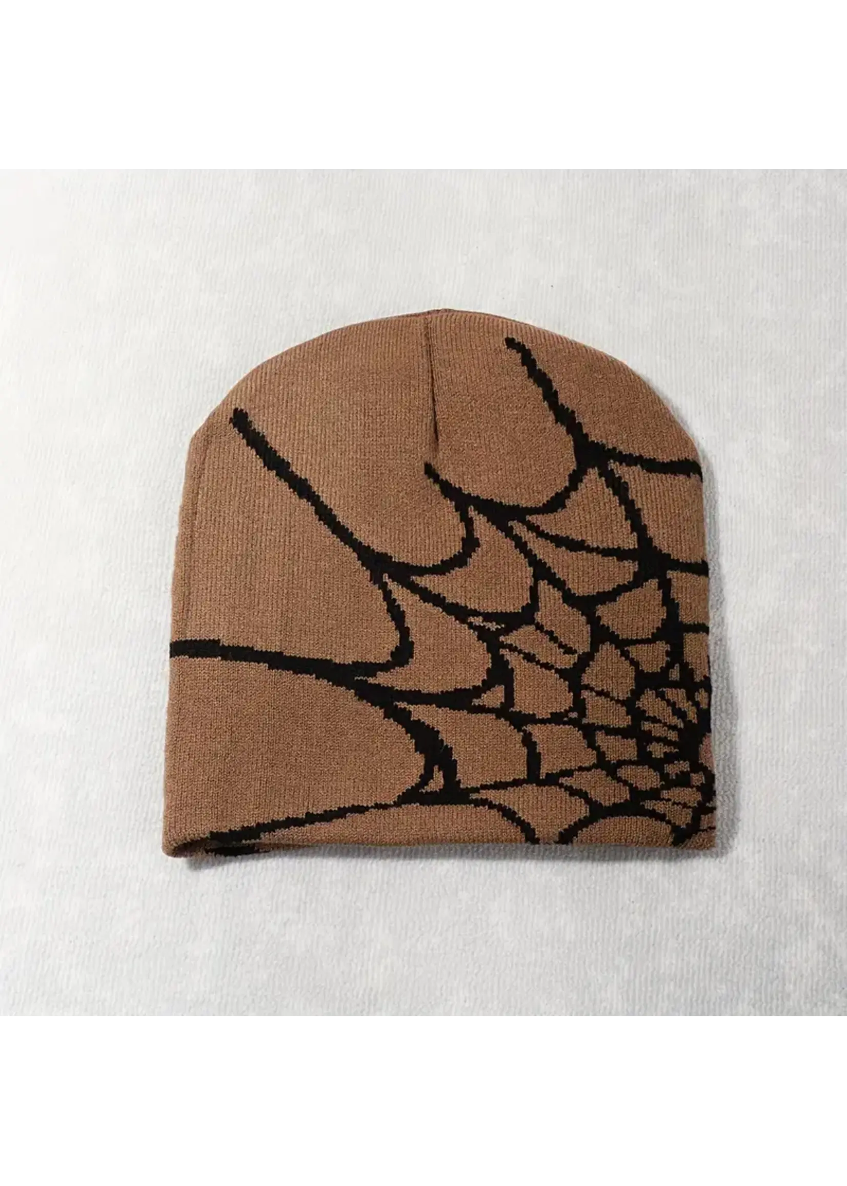 Spider Web Beanie