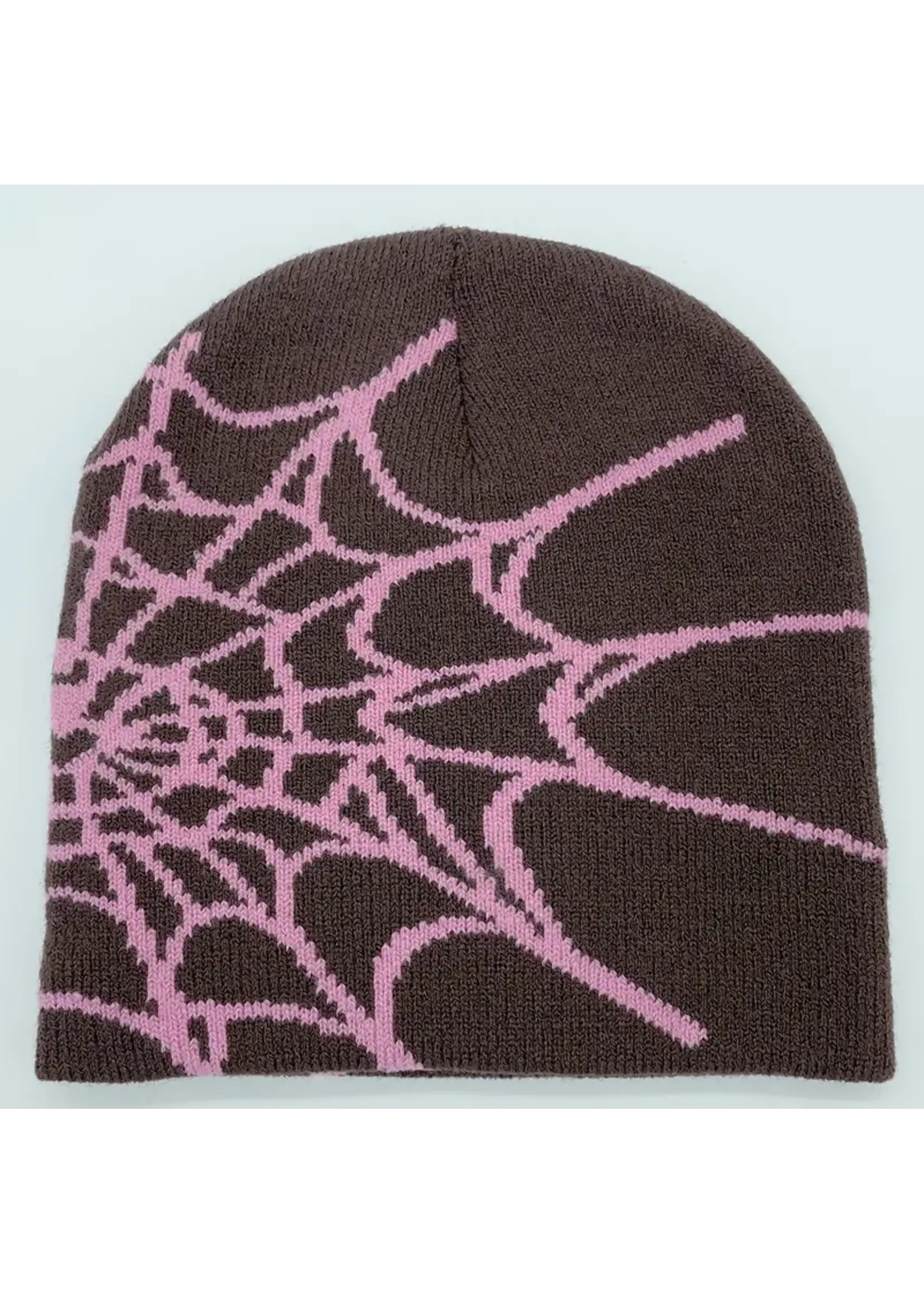 Spider Web Beanie