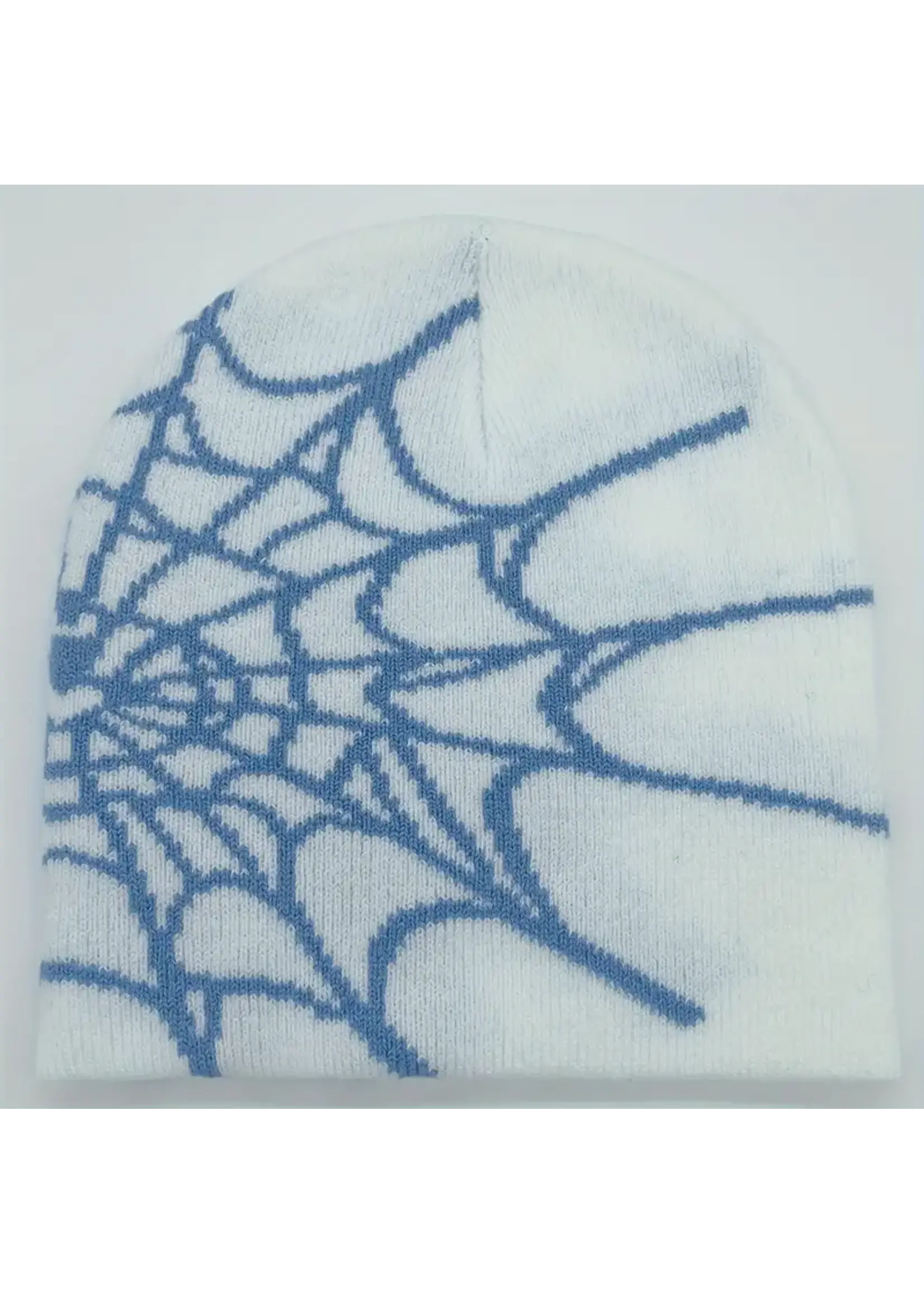 Spider Web Beanie