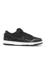 Nike Dunk Low SB Wasted Youth