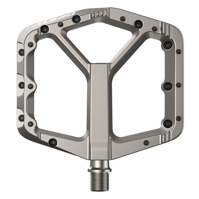Giant Pédale Pinner Pro Gris