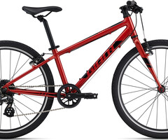 Giant Child bike rental 24" Day