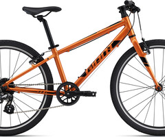 Giant Child bike rental 24" 4 hours