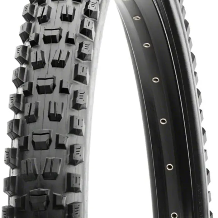 Maxxis Assegai, Tire, 29''x2.50, Folding, Tubeless Ready, Dual, EXO, Wide Trail, 60TPI