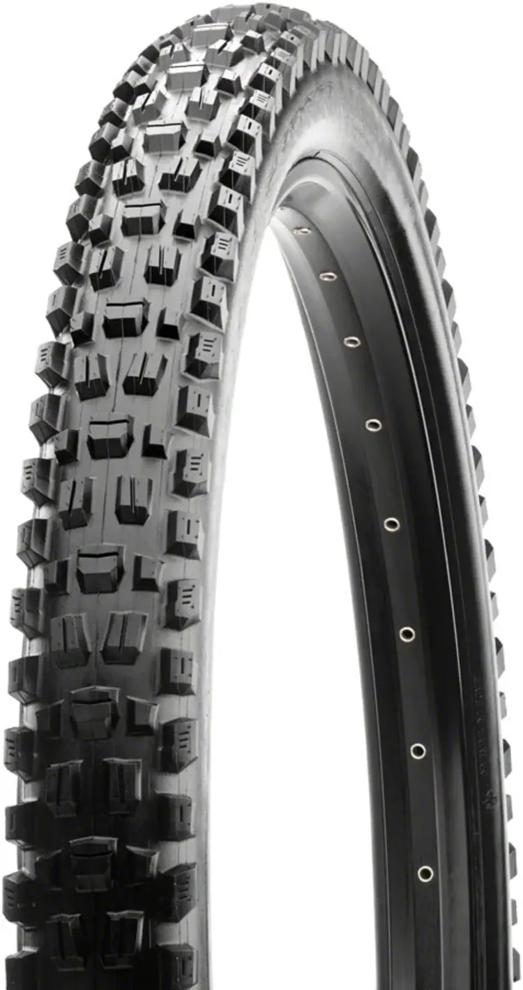 Maxxis Assegai, Tire, 29''x2.50, Folding, Tubeless Ready, Dual, EXO, Wide Trail, 60TPI
