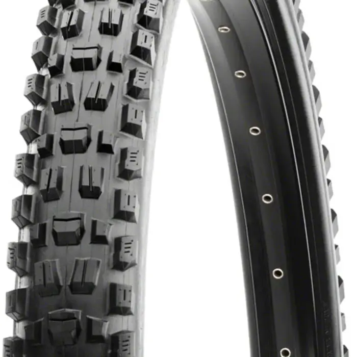 Maxxis Tire Assegai 29 x 2.6, Tubeless, Folding, Black, 3C Maxx Terra, EXO+